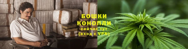 гидропоника Белоозёрский