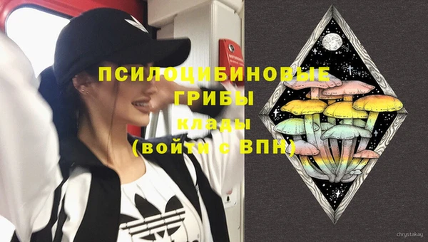 метадон Белокуриха