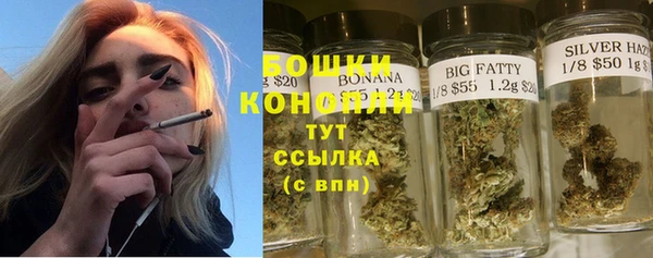 метадон Белокуриха